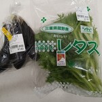 四季菜 - 料理写真: