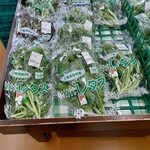 四季菜 - 