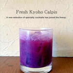 ビストロ酒場 ウラロジ - 