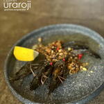 ビストロ酒場 ウラロジ - 