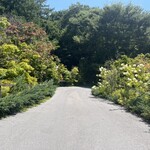 GAFLO CAFE by Flower FIELD - 