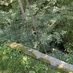 GAFLO CAFE by Flower FIELD - 