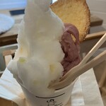 Gelateria Presso - 「ぶどう＆レモン」、「塩レモン」のダブル、カップ