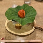 むろまち 加地 - 