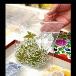 ラ・ロマネ 朝霞 - 紅葉の葉の先まで全部丁寧にカッティングしてる〜　byまみこまみこ