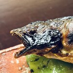 徳ㇵ本也 - 鮎炭塩焼きと万願寺とうがらし