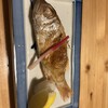 のどぐろ酒場 浜吉丸