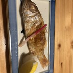 のどぐろ酒場 浜吉丸 - 