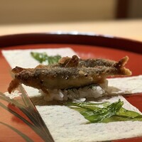 明寂 - 