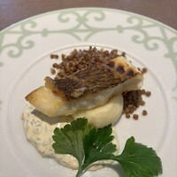 Russian Restaurant ROGOVSKI 銀座 - 