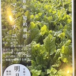 明月館 - メニュー