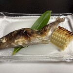 「山の季」　きゃら（伽羅） - 