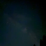 「山の季」　きゃら（伽羅） - 