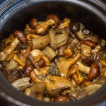 よし町 - 2025.8 茸ご飯（アカヤマドリタケ、ヤマドリタケ、ショウゲンジ、フウセンタケ、アンズタケ）