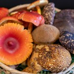 よし町 - 2025.8 夏キノコ