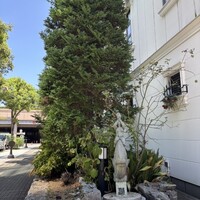 ツキ シュール ラメール - 