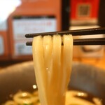 山下本気うどん - かけうどんり