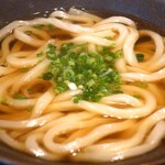 山下本気うどん - かけうどん 並