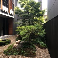 しろ - 