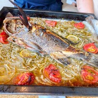 anchoa - 