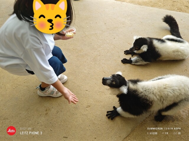 東北サファリパークレストラン（東北サファリパーク　サファリレストラン） - 二本松（レストラン）の写真