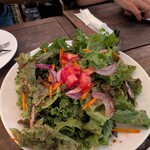 コスタ・ラティーナ - 