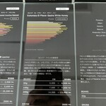 REDPOISON - 商品説明(ゲイシャ)