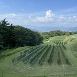 ヴィラデスト ガーデンファーム アンド ワイナリー - 窓際の席から見た風景