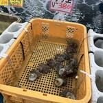 白子漁港直売所 魚魚鈴 - 