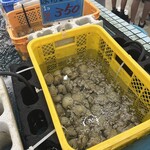 白子漁港直売所 魚魚鈴 - 
