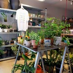 PERK SHOP - 