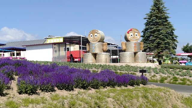 四季彩の丘 売店 - 美馬牛（その他）の写真