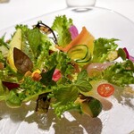 レフェルヴェソンス - 