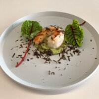 TRATTORIA KIKUYA - 
