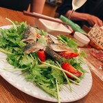 立飲・ビストロシン サンテ - サンマ、めちゃくちゃ美味しかった