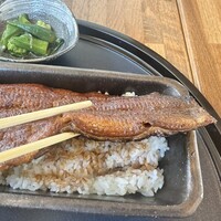 うなぎ四代目菊川 VISON多気店 - 