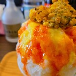 ツキトクルミ - 