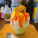 ツキトクルミ - 