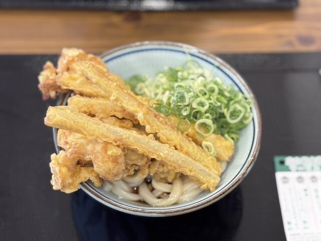 Sanuki Udon Everyday Shinborikawa Honten