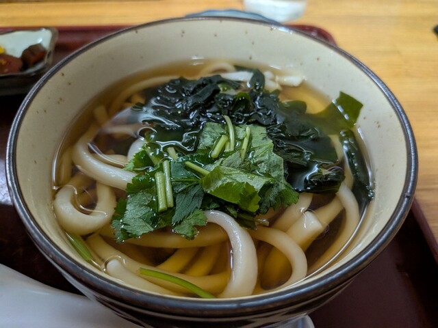 手打うどんかめや - 矢向/うどん | 食べログ