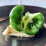 アル・ケッチァーノ  - ヤナギガレイとピーマン（裏）