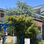 トイチパンケーキ - 