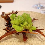 レストラン・モリエール - 