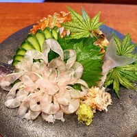 飛騨季節料理 肴 - 