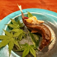 飛騨季節料理 肴 - 