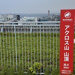 元祖博多めんたい重 - 