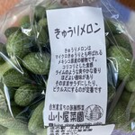 道の駅 みなかみ水紀行館 - 