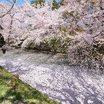 ポアブル - 弘前公園の美しい桜です