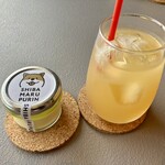 SHIBA MARU PURIN - 