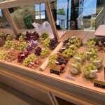 橘萄園 - 他では見ない品種も多々あるショーケース